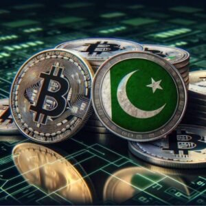 Pakistan Digital Assets Authority